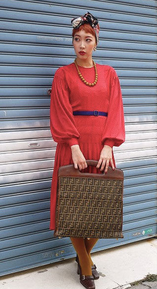 Fendi ズッカ柄 ハンディバッグ(茶)