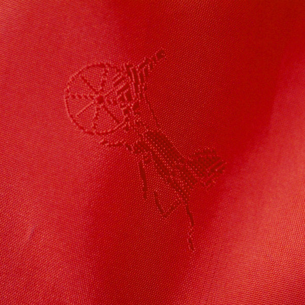 OLD CELINE　フロント馬車ボタンフレアスカート（赤）