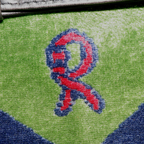 Roberta　モケットトートバッグ（赤・青・緑）